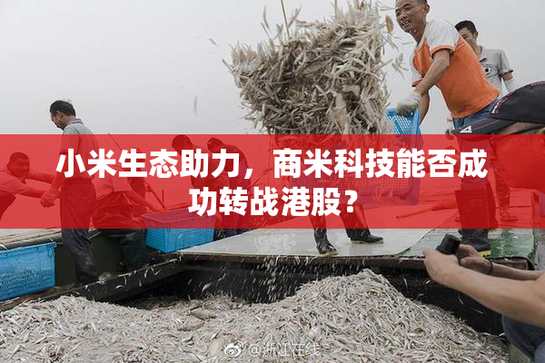 小米生态助力，商米科技能否成功转战港股？