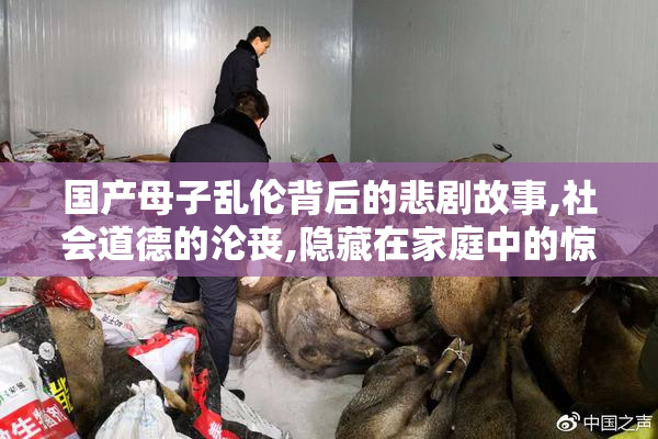 国产母子乱伦背后的悲剧故事,社会道德的沦丧,隐藏在家庭中的惊人