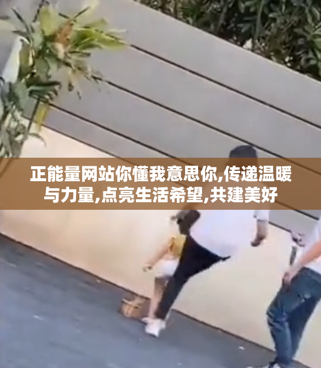 正能量网站你懂我意思你,传递温暖与力量,点亮生活希望,共建美好
