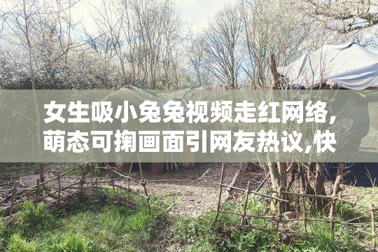 女生吸小兔兔视频走红网络,萌态可掬画面引网友热议,快