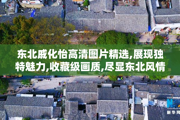 东北戚化怡高清图片精选,展现独特魅力,收藏级画质,尽显东北风情