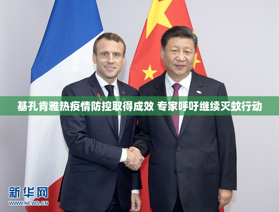 基孔肯雅热疫情防控取得成效 专家呼吁继续灭蚊行动