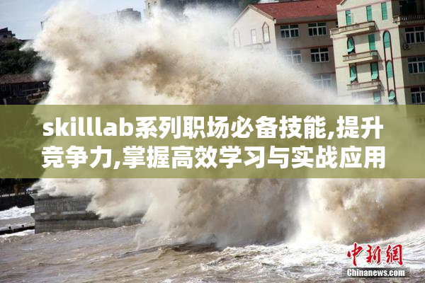 skilllab系列职场必备技能,提升竞争力,掌握高效学习与实战应用的