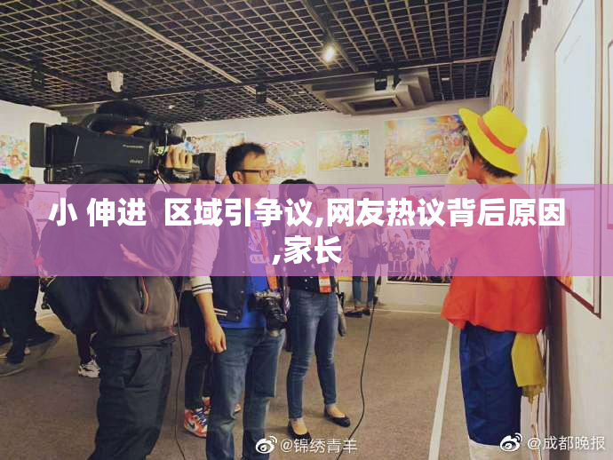 小 伸进  区域引争议,网友热议背后原因,家长