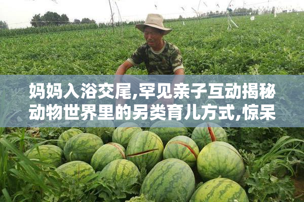 妈妈入浴交尾,罕见亲子互动揭秘动物世界里的另类育儿方式,惊呆
