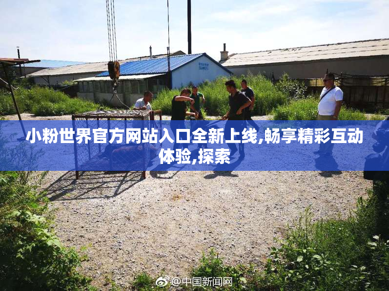 小粉世界官方网站入口全新上线,畅享精彩互动体验,探索