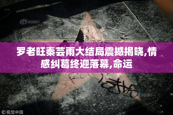 罗老旺秦芸雨大结局震撼揭晓,情感纠葛终迎落幕,命运