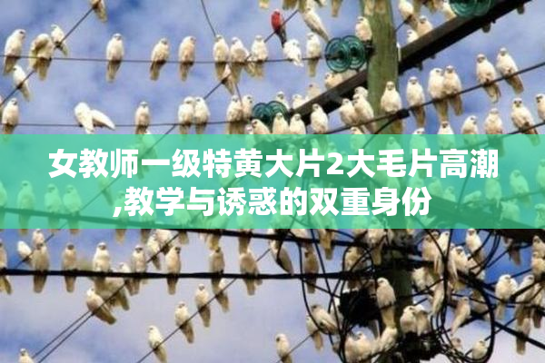 女教师一级特黄大片2大毛片高潮,教学与诱惑的双重身份