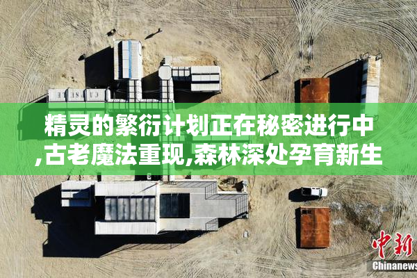 精灵的繁衍计划正在秘密进行中,古老魔法重现,森林深处孕育新生命