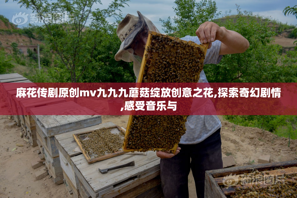 麻花传剧原创mv九九九蘑菇绽放创意之花,探索奇幻剧情,感受音乐与