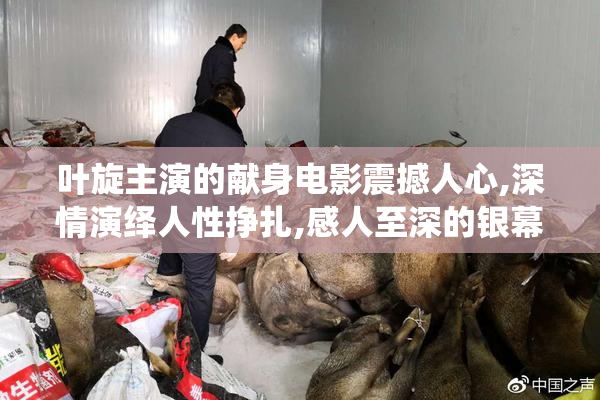 叶旋主演的献身电影震撼人心,深情演绎人性挣扎,感人至深的银幕佳作