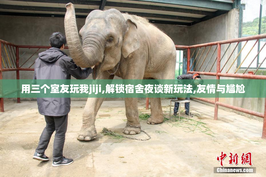 用三个室友玩我jiji,解锁宿舍夜谈新玩法,友情与尴尬