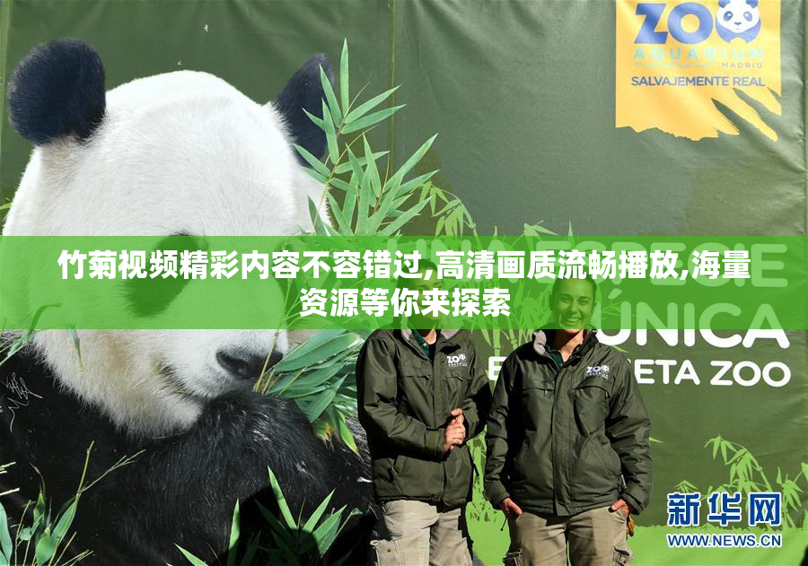 竹菊视频精彩内容不容错过,高清画质流畅播放,海量资源等你来探索