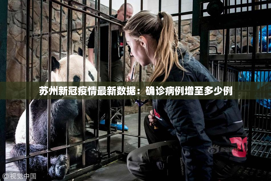 苏州新冠疫情最新数据：确诊病例增至多少例