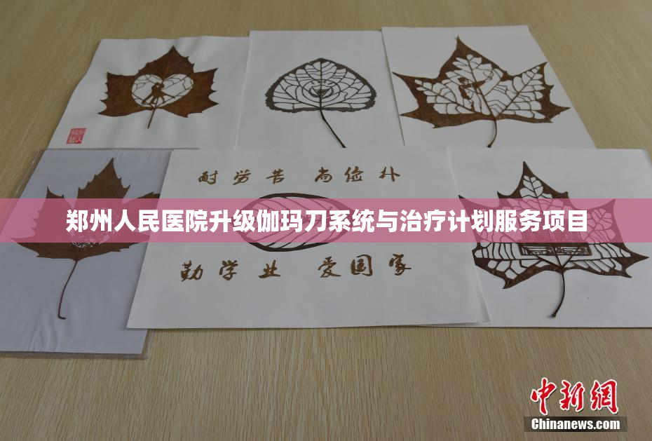 郑州人民医院升级伽玛刀系统与治疗计划服务项目