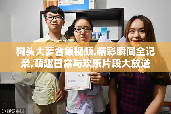 狗头大萝合集视频,精彩瞬间全记录,萌趣日常与欢乐片段大放送
