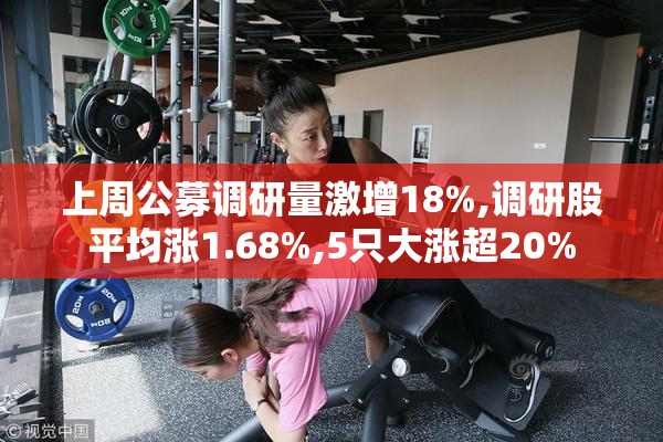 上周公募调研量激增18%,调研股平均涨1.68%,5只大涨超20%