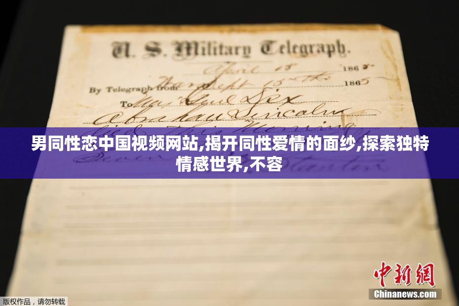 男同性恋中国视频网站,揭开同性爱情的面纱,探索独特情感世界,不容
