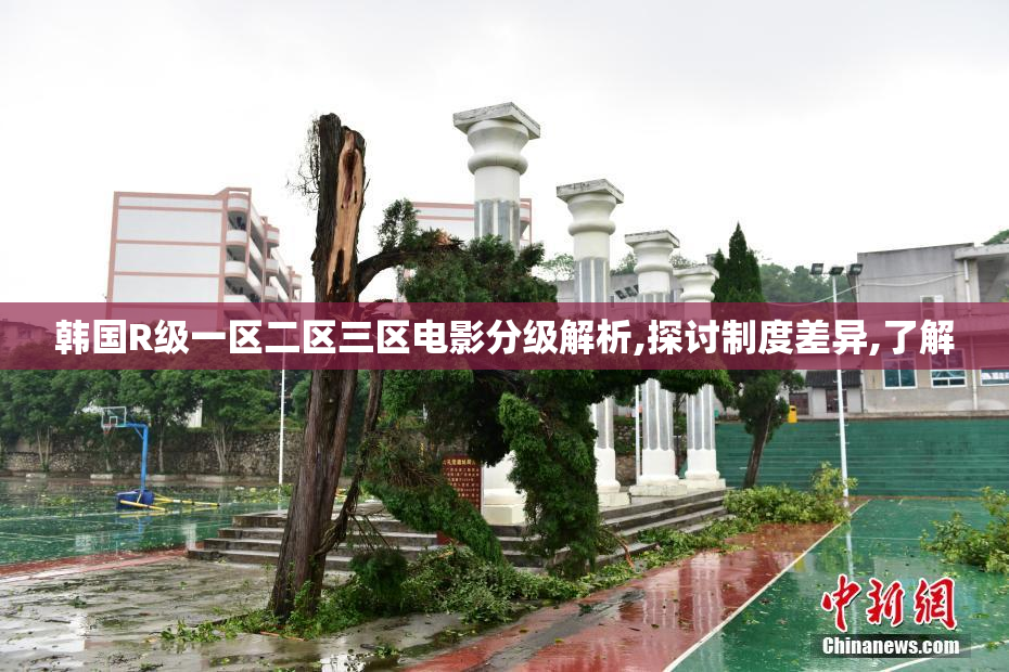 韩国R级一区二区三区电影分级解析,探讨制度差异,了解