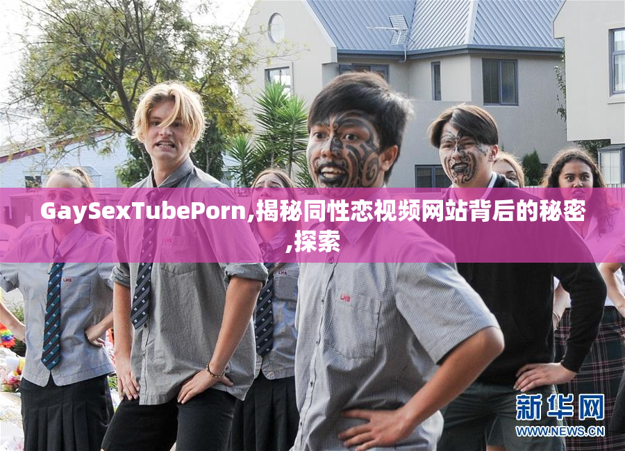 GaySexTubePorn,揭秘同性恋视频网站背后的秘密,探索