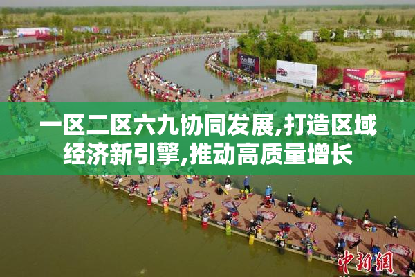 一区二区六九协同发展,打造区域经济新引擎,推动高质量增长