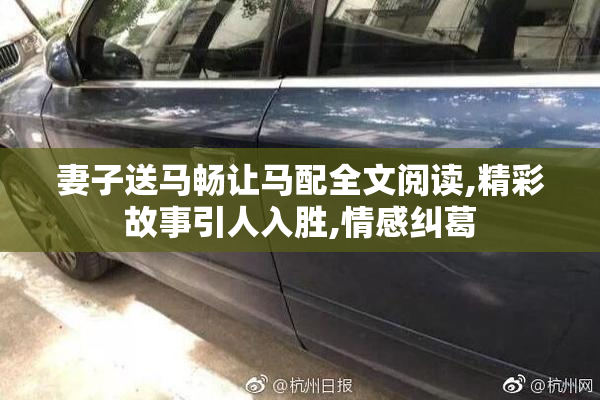 妻子送马畅让马配全文阅读,精彩故事引人入胜,情感纠葛