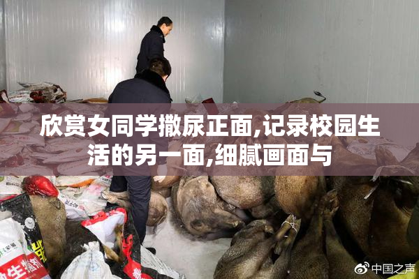 欣赏女同学撒尿正面,记录校园生活的另一面,细腻画面与