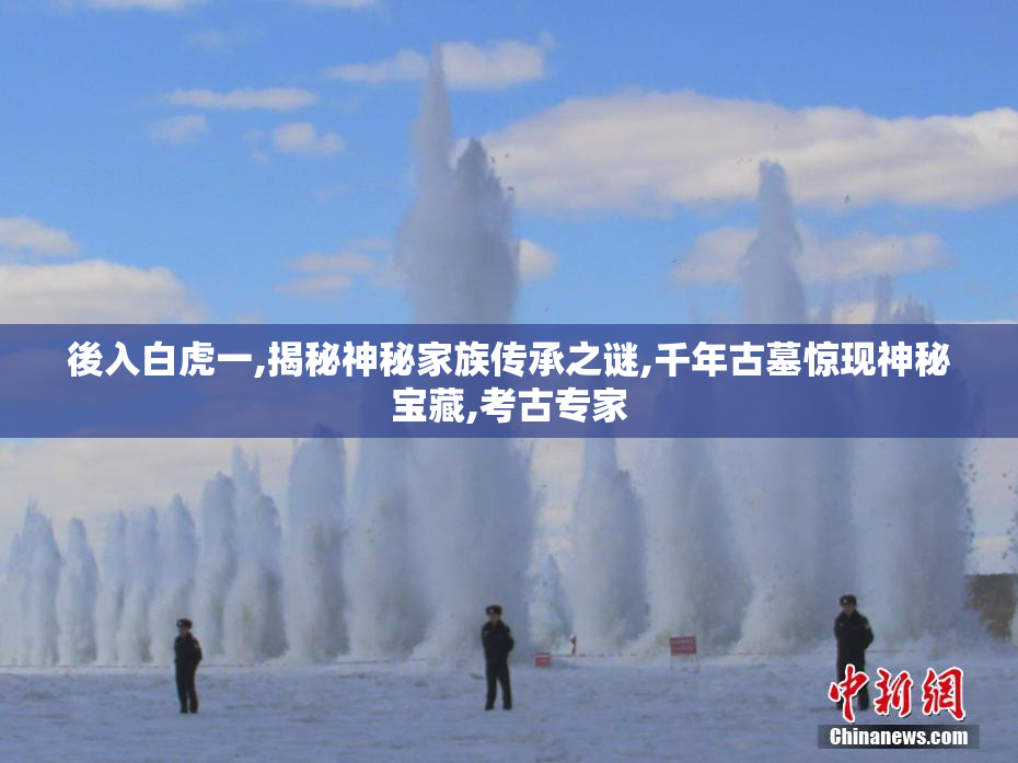 後入白虎一,揭秘神秘家族传承之谜,千年古墓惊现神秘宝藏,考古专家
