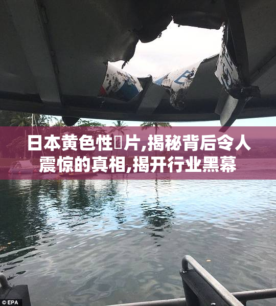 日本黄色性恔片,揭秘背后令人震惊的真相,揭开行业黑幕