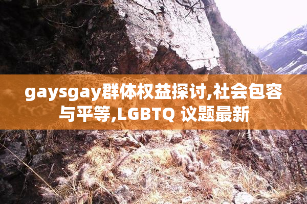 gaysgay群体权益探讨,社会包容与平等,LGBTQ 议题最新