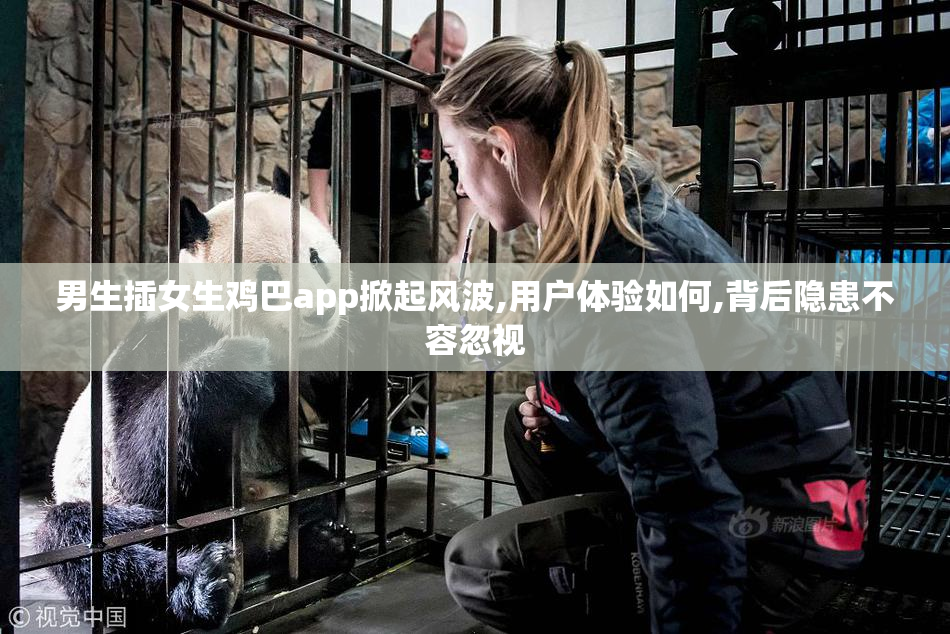 男生插女生鸡巴app掀起风波,用户体验如何,背后隐患不容忽视