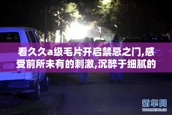 看久久a级毛片开启禁忌之门,感受前所未有的刺激,沉醉于细腻的