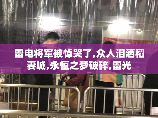 雷电将军被悼哭了,众人泪洒稻妻城,永恒之梦破碎,雷光