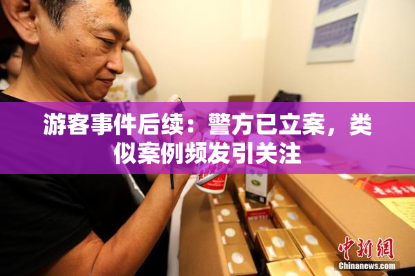 游客事件后续：警方已立案，类似案例频发引关注