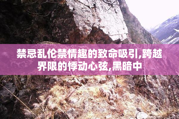 禁忌乱伦禁情趣的致命吸引,跨越界限的悸动心弦,黑暗中