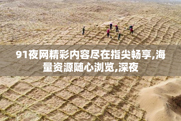 91夜网精彩内容尽在指尖畅享,海量资源随心浏览,深夜