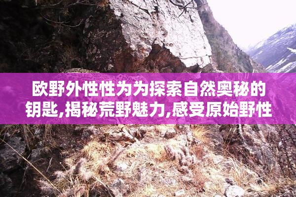 欧野外性性为为探索自然奥秘的钥匙,揭秘荒野魅力,感受原始野性的