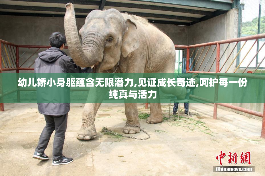 幼儿娇小身躯蕴含无限潜力,见证成长奇迹,呵护每一份纯真与活力
