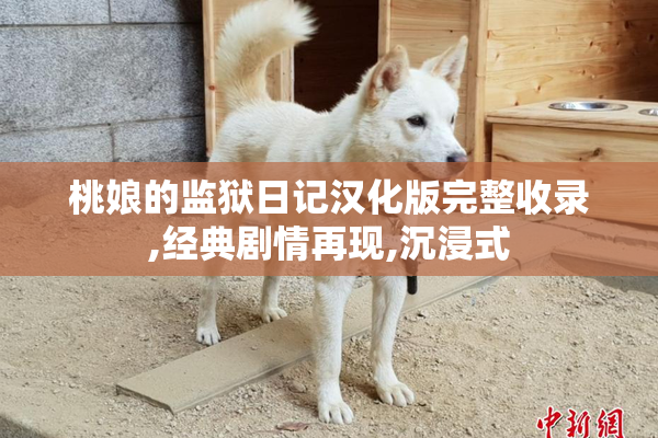 桃娘的监狱日记汉化版完整收录,经典剧情再现,沉浸式