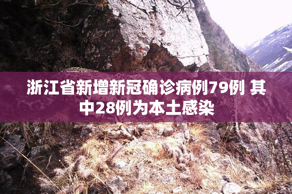 浙江省新增新冠确诊病例79例 其中28例为本土感染