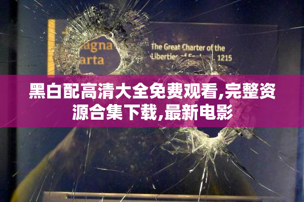 黑白配高清大全免费观看,完整资源合集下载,最新电影