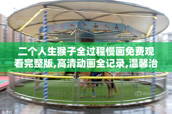 二个人生猴子全过程慢画免费观看完整版,高清动画全记录,温馨治愈