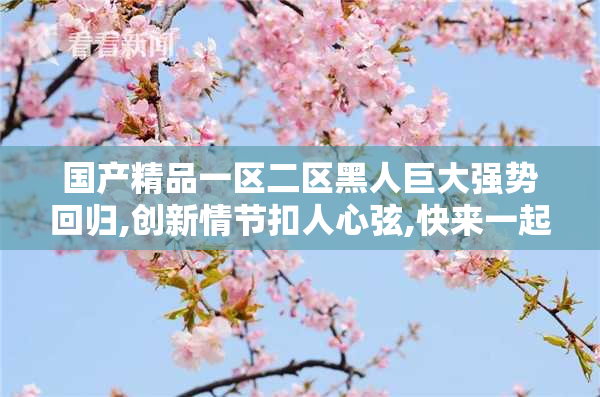 国产精品一区二区黑人巨大强势回归,创新情节扣人心弦,快来一起