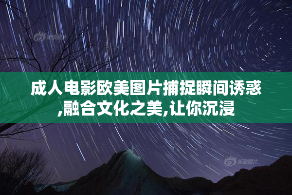 成人电影欧美图片捕捉瞬间诱惑,融合文化之美,让你沉浸