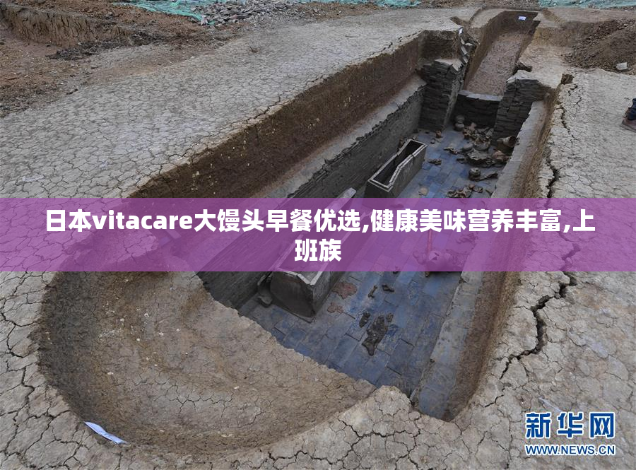 日本vitacare大馒头早餐优选,健康美味营养丰富,上班族