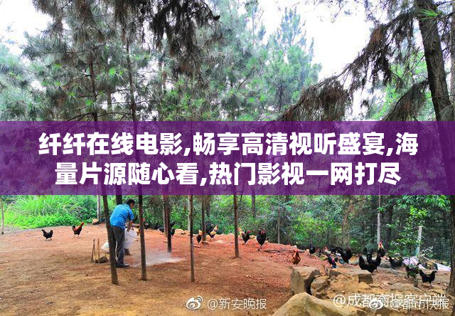 纤纤在线电影,畅享高清视听盛宴,海量片源随心看,热门影视一网打尽