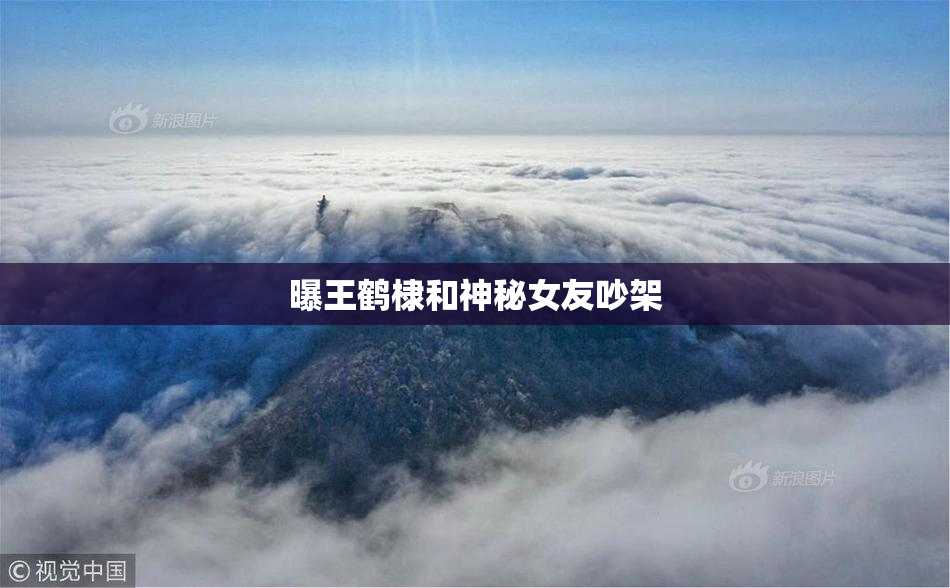 曝王鹤棣和神秘女友吵架