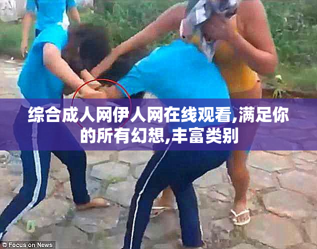 综合成人网伊人网在线观看,满足你的所有幻想,丰富类别