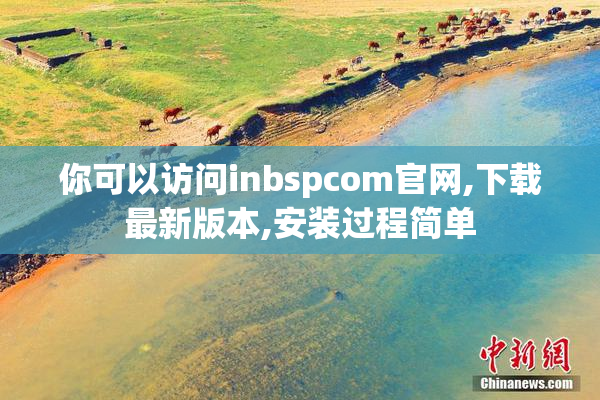 你可以访问inbspcom官网,下载最新版本,安装过程简单