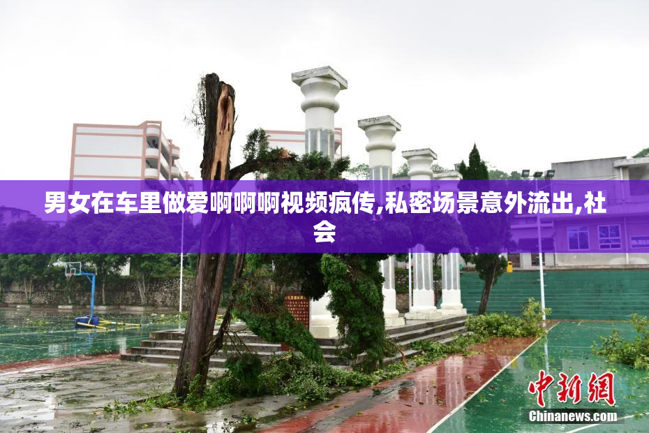 男女在车里做爱啊啊啊视频疯传,私密场景意外流出,社会